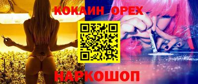 крисы Моздок