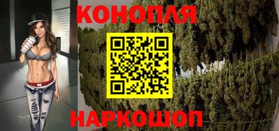 крисы Моздок