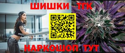 крисы Моздок