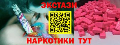 крисы Моздок
