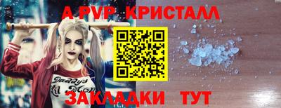 крисы Моздок