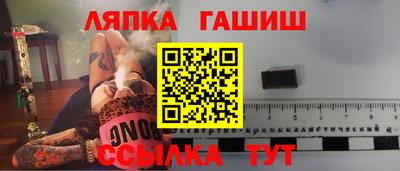 крисы Моздок